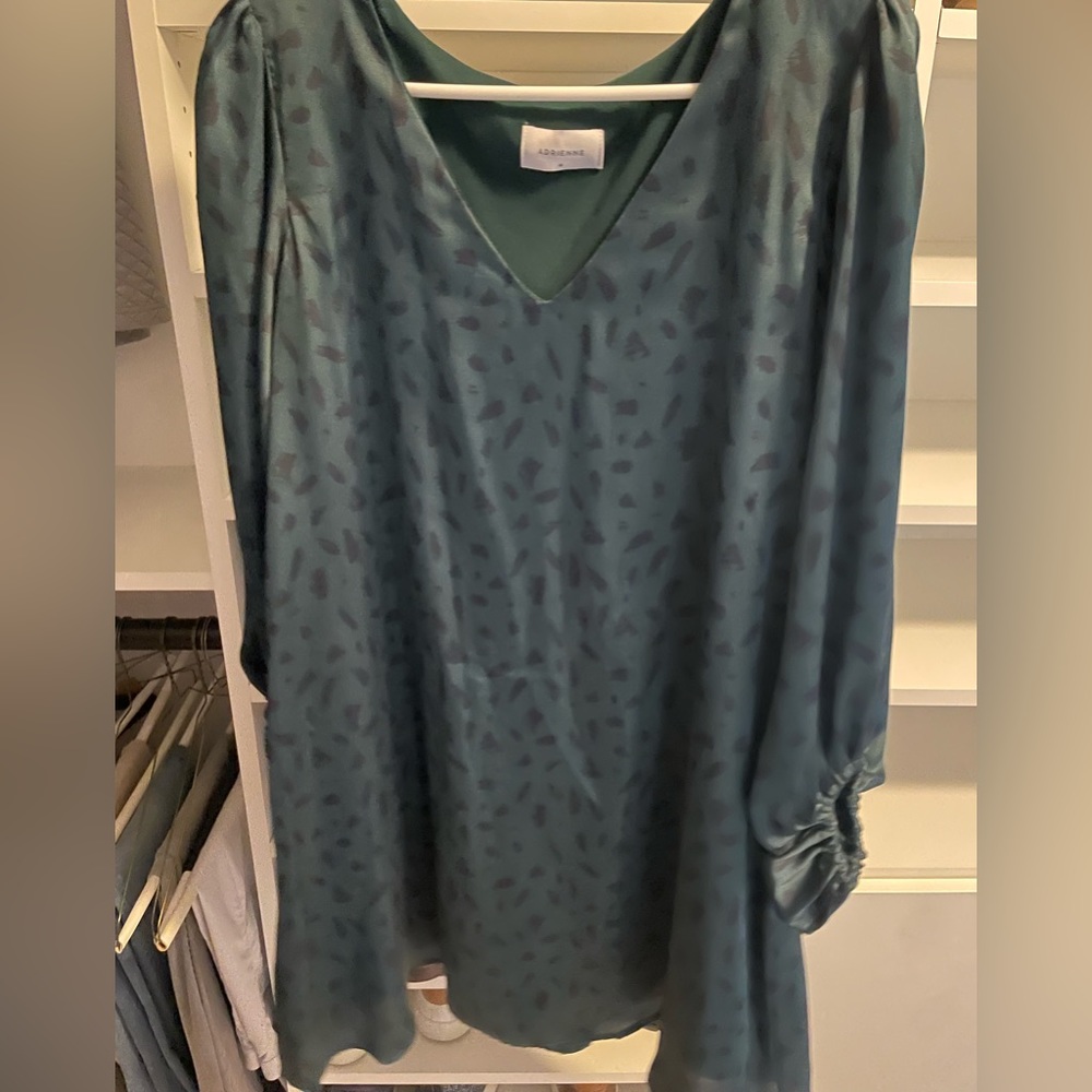 Adrienne balloon sleeve mini dress